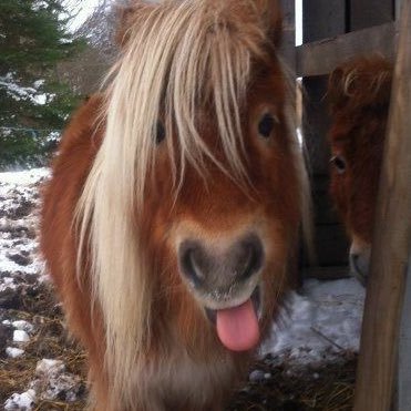 olivewabi's profile picture. and others …𐔌՞. .՞𐦯