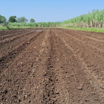 SagarSangogi's profile picture. 