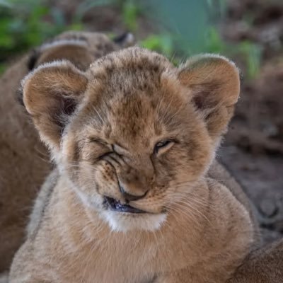 10picture10's profile picture. 🚀