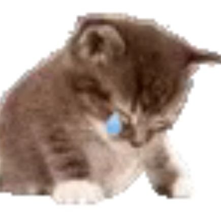 010III010's profile picture. 直男 北京有什么好吃的求安利给我，我的逼嘴很馋 qq：2948367118 tg：https://t.co/wTpLVFnM8R vx：LL8LL8LL6LL9 ‖经常被同学取外号 渣男 海王 鱼塘主啥的。从高中开始就桃花不断，大学更是如此。感觉自己像是天选之人，身边的御姐萌妹没有断过，感谢老天爷给我的颜值和气质