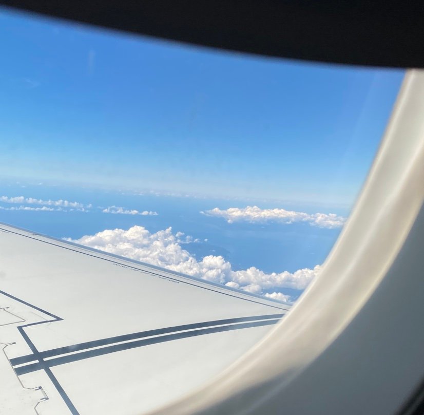 Tkpm781's profile picture. 