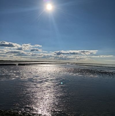 moeva18's profile picture. Nationale feestcoördinator,  X-antropoloog en professioneel doormensenheenkijker! 
Sociaal rechts! 
Sarcasme is a way of life!