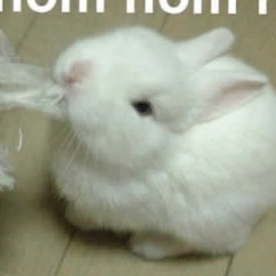 laongp0rn's profile picture. 