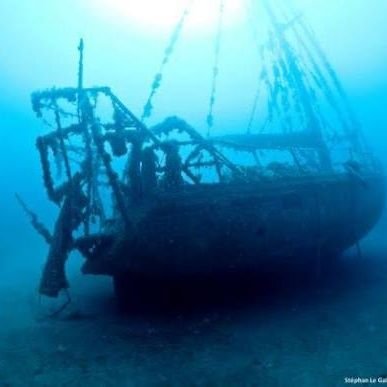 LAClippersFRA's profile picture. Toute l'actualité des Clippers en français et avec un peu de dérision pour ne pas entrer en dépression. #ClipperNation

Tree lover 🌳