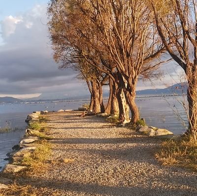 miles5003's profile picture. 旅游、美食烹饪