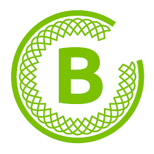 BerthaCentre's profile picture. We work towards social impact & justice in Africa, through teaching, knowledge-building, convening & catalytic projects with a systems lens on social innovation