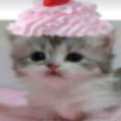 afkniaa's profile picture. 