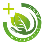 LileGroupPallet's profile picture. 