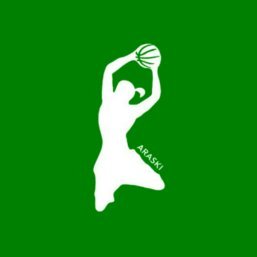 Araski's profile picture. Proyecto para la mejora y estructuración del baloncesto femenino alavés 🏀 #LFEndesa Kutxabank Araski 💚