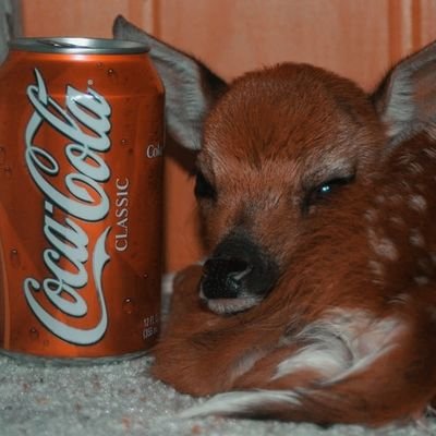 33stigmata's profile picture. dancing through the lightning strikes