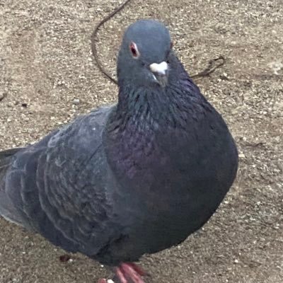 Moneyg7392f's profile picture. @Moneyg7392f has been withheld in JP in response to a legal demand. https://t.co/yNtdhHqojT.