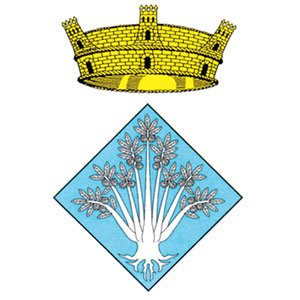 Ajuntament Viladrau Profile