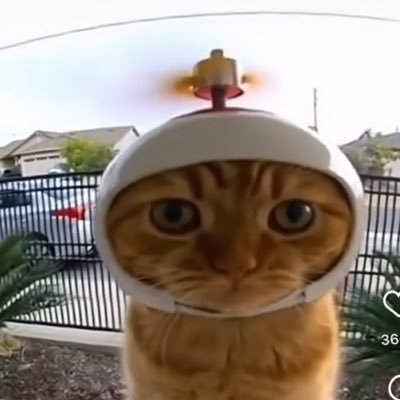 ImSprouts's profile picture. 23. #nonstop