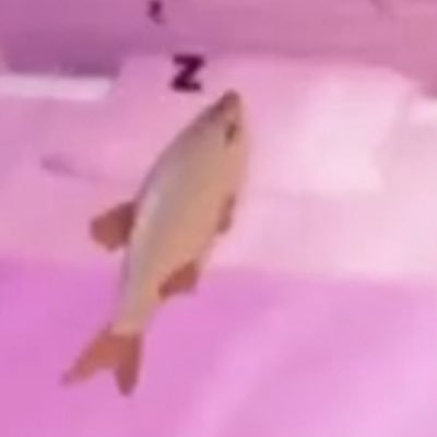 asmokcals's profile picture. gw 36kg/ top 1 junkorexic oat//shedtwt mostly ed or unrelated (pl/eng)