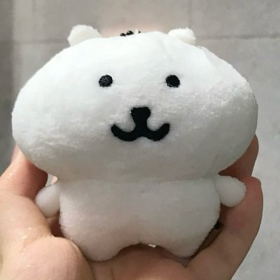 frappesnowland's profile picture. 18 🇨🇦 ☕
libramasc , mspec
film prod. & videography