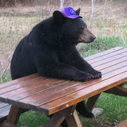 Kyr0ww's profile picture. 18🇨🇦
https://t.co/sB9db0vtYM
https://t.co/ijK36YMmys