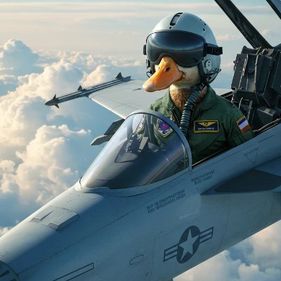 War_mongern's profile picture. Military Aviation | Monitoring military movements | raw war clip