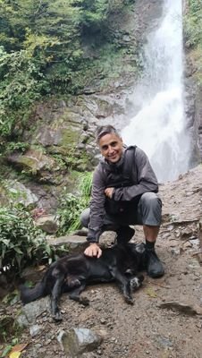 PetreStefanov87's profile picture. 