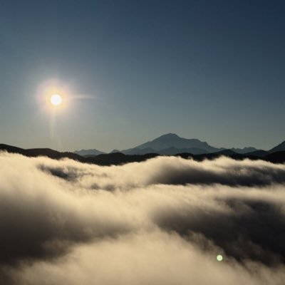 lightx0x's profile picture. Onchain Mercenary 🥷