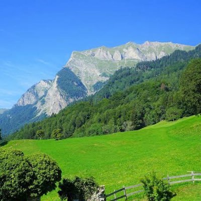 3BtJ2YvT8j65536's profile picture. 