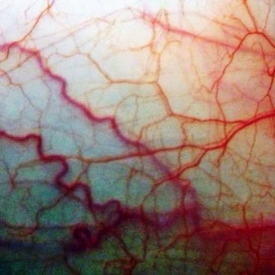 J8fw4i6's profile picture. 沒護髮乳就自己擼出來