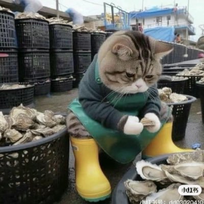 chuyanging's profile picture. 