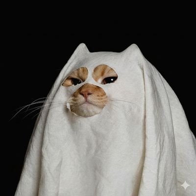 ghostcapx's profile picture. ✍️ Author of truths | 📊 Trader of edges.
​👻| Strategic mind 🧠 Also Friendly ☞ DM