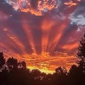 IMirthman90575's profile picture. Yapper