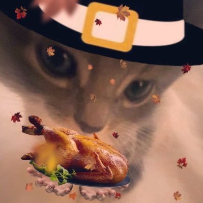 sunflwrrrrs's profile picture. i hope life is always kind to you (pls dont hate me if i dont respond to dms im just shy sorry)