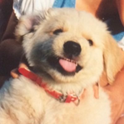 gegegenootaku's profile picture. 超成人済🌸福岡住🌱無言フォロー失礼します 🙇‍♀️フォロバ等お気遣いなく🙇‍♀️