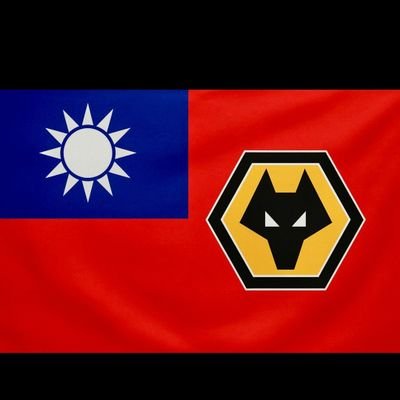 VitorsWolves's profile picture. 