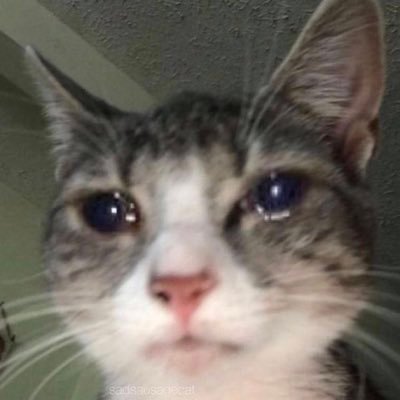 Hoyeonnnnnnnn's profile picture. Korean student