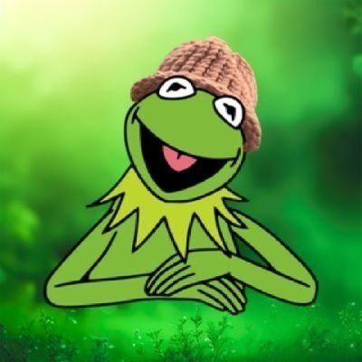 NuPha14081's profile picture. The OGs of frog $KWIF ON SOLANA Kermit Wif hat . Hoping towards the future