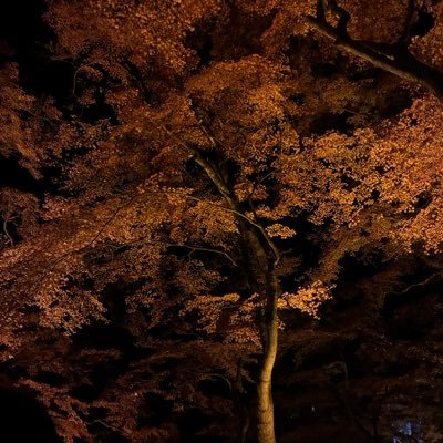 NrYR1fkhFRPrsq6's profile picture. 