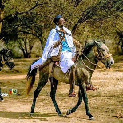 ODA_HASSAN_'s profile picture. 