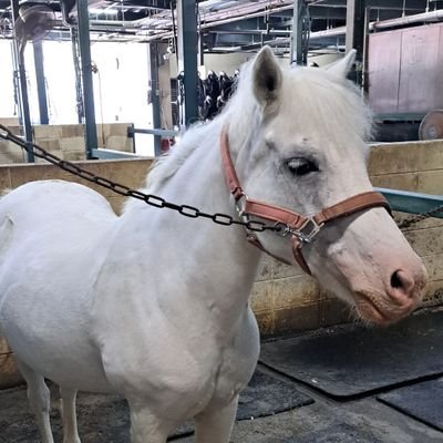 rXMR1RzhW624375's profile picture. 