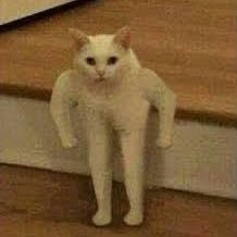 imereeq's profile picture. partnerships @sourcegraph / prev @aws