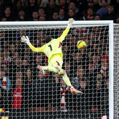 Michael47179010's profile picture. 