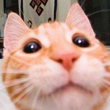 begforkhaleesi's profile picture. Buy me a slushie, and I'll love you forever.