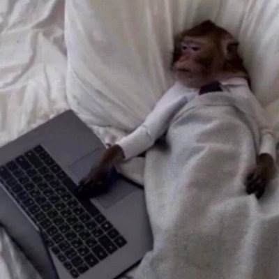 AlvinApes's profile picture. Shit coin caller and degen on sol.
https://t.co/5jQkNM02Oe