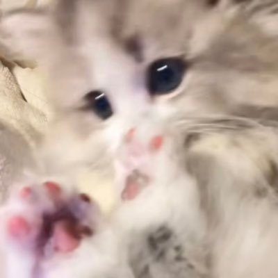 o1kw3n's profile picture. o18/関東