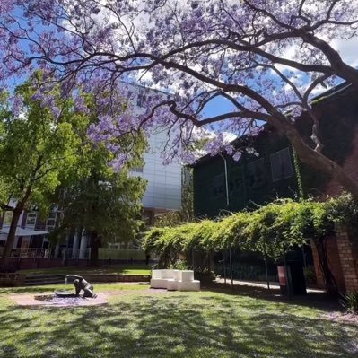 sweetbutsycho_'s profile picture. Shut the fuck up