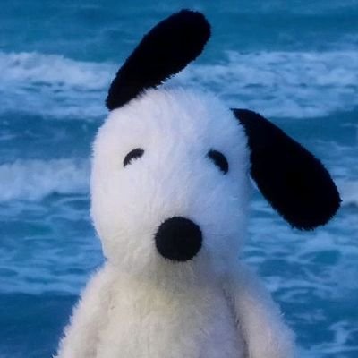 Alexfunnnn's profile picture. 18 yo | main character of my own Billie Eilish song. he / him
@billieeilish 💙💙💙💙