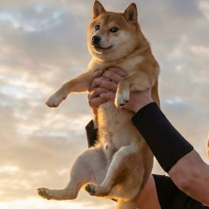 sendinurhakim99's profile picture. God-fearing crypto strategist || Alpha investor || #Memecoin enthusiast |