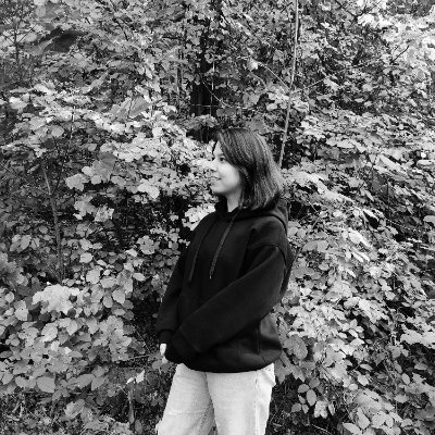 FaezehDd's profile picture. 