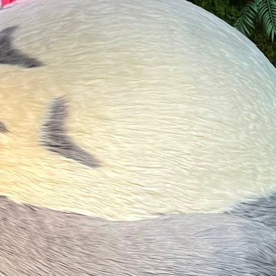 hojyari871's profile picture. ヨロです