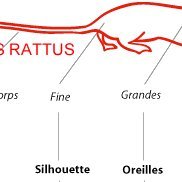 Live_0RL1v3's profile picture. 𒁷