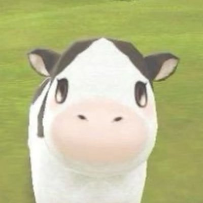 djmoruka's profile picture. 모루카를 타고 날아서 궁전으로 갈 수도 있쩌..