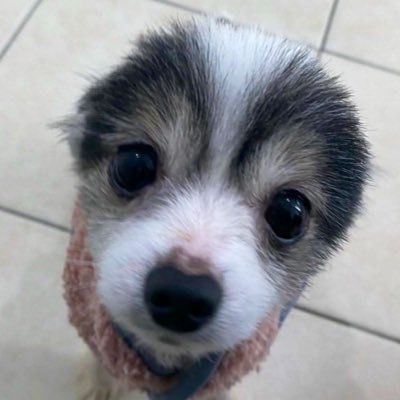 skcm280's profile picture. 뽀로로음료수먹는남자랑뽀뽀할수있어요?