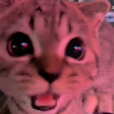 igncaarmeen's profile picture. 🌷 priv: @carmenprivate